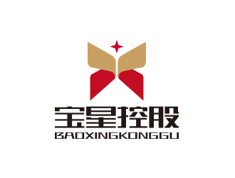 孫金澤的寶星控股有限公司logo設計