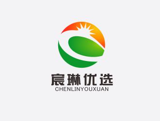 胡紅志的宸琳優(yōu)選logo設計