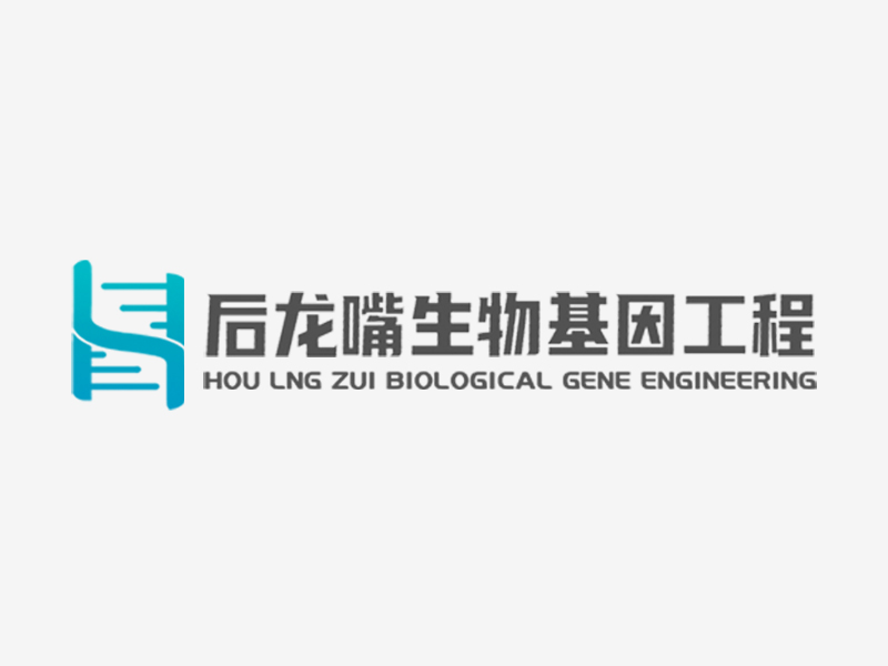 常浩楠的logo設計